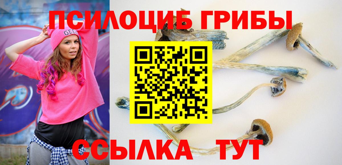 Галлюциногенные грибы MAGIC MUSHROOMS  Вход с VPN  Новокуйбышевск 